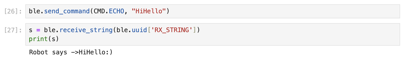 Python Echo response